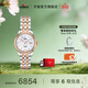 天梭（TISSOT）官旗 瑞士手表力洛克系列時(shí)尚自動(dòng)機械女表送女友禮物 貝母盤(pán)鋼帶T006.207.22.116.00