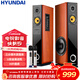HYUNDAI現代 318-90電視電腦k歌音響組合設備家庭影院家用KTV點(diǎn)歌機藍牙低音炮大功率落地有源音箱