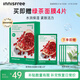 悅詩(shī)風(fēng)吟（innisfree）鮮萃肌活面膜[石榴]10片保濕補水舒緩改善暗沉送女友禮物