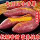 京愿臨安天目山小香薯正宗板栗紅薯香甜軟糯金手指蜜薯地瓜新鮮蔬菜 【精選】?jì)糁?斤裝