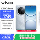 vivo Y300 Pro+ 12GB+256GB 星空銀 國家補貼 7300mAh藍海電池 第三代驍龍7s 金剛磐石架構 AI手機