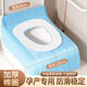 七條尾巴產(chǎn)婦一次性馬桶墊坐墊月子孕婦必備獨立包裝廁所坐便專(zhuān)用醫院加厚 【防護升級】馬桶墊+蓋罩*5套