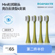 羅曼（ROAMAN）電動(dòng)牙刷頭SN02牛油果綠迷你刷頭4支裝 適配T10、T10S、T20
