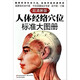 【新華書店】人體經(jīng)絡(luò)穴位標(biāo)準(zhǔn)大圖冊(超清晰版)