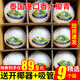 香果顏泰國(guó)香水椰青 原箱裝 生鮮水果 椰子大果 香水椰精選9個(gè)裝單果約900g起