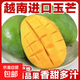 【超甜】越南玉芒水仙芒青皮大芒果香甜多汁 大果連箱2斤