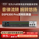 麥樂(lè )迪DSP6300卡拉ok混響器 數字音頻前級效果器 家庭影院防嘯叫調音臺處理器含話(huà)筒 調音臺均衡器 DSP6300 Pro藍牙升級版(含線(xiàn)) 標準版