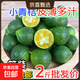海南小金桔青桔新鮮青檸檬青柑皮薄應季當季水果檸檬新鮮整件免郵 小青檸（中果5g起） 1斤