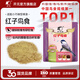 開(kāi)元（KO）升級版紅子鳥(niǎo)食貝子點(diǎn)子柳鶯黑子鳥(niǎo)糧鳥(niǎo)食鳥(niǎo)飼料250g 升級版紅子鳥(niǎo)食