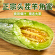 泓花會(huì )山東頭茬羊角蜜甜瓜香瓜清脆可口應季水果新鮮采摘產(chǎn)地直發(fā)羊角蜜 HG羊角蜜3斤