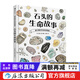 盛口滿(mǎn)的手繪自然圖鑒：石頭的生命故事 7-10歲 石頭地質(zhì) 日本童書(shū)研究會(huì ) 科普百科繪本 后浪童書(shū) 浪花朵朵正版