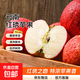 紅琇 云南紅琇蘋(píng)果 當季濃香鮮蘋(píng)果 生鮮水果產(chǎn)地直發(fā) 紅琇蘋(píng)果8粒禮盒裝單果170g