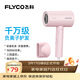 飛科（FLYCO）電吹風(fēng)機負離子家用大功率不傷發(fā)吹風(fēng)筒宿舍學(xué)生便攜可折疊 【1800W可折疊】淡粉色