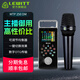 萊維特（LEWITT） MTP 250 DM 動(dòng)圈麥克風(fēng)手持話(huà)筒網(wǎng)紅直播k歌主播戶(hù)外喊麥手機聲卡套裝 MTP 250+艾肯Go Live Pro套裝