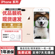 蘋(píng)果8Plus手機 Apple iPhone 8Plus 蘋(píng)果8P 二手手機  二手9成新 金色 256G全網(wǎng)通【更換100%電池】9成新