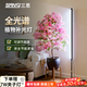 三思全光譜植物補光燈室內綠植生長(cháng)燈多肉花卉三角梅發(fā)財樹(shù)立式落地燈 【高160-190cm伸縮】80W可定時(shí)圓盤(pán)底座款