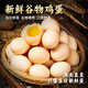 耕果妙新鮮谷物雞蛋40枚4斤谷物鮮雞蛋精選雞蛋 源頭直發(fā) 包郵