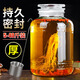 英耀泡酒玻璃瓶泡酒瓶帶龍頭釀葡萄酒楊梅藥酒壇子容器密封罐裝酒空瓶 泡酒玻璃瓶10斤不帶龍頭加厚無(wú)花紋