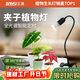 三思植物補光燈仿太陽(yáng)全光譜 植物燈  盆栽花卉補光燈-10W不定時(shí)