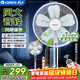 格力（GREE）【花精靈風(fēng)扇】直流變頻電風(fēng)扇落地扇家用風(fēng)隨溫變臺地兩用一級能效遙控電扇低噪 FDZ-35X69Bg5