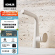科勒（KOHLER）赫明龍頭抽拉梳洗臉盆龍頭水嘴可翻轉360度可旋轉面盆水龍頭 赫明單把臉盆龍頭-云緞沙