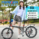 永久（FOREVER） 折疊自行車(chē)20寸鋁合金車(chē)架禧瑪諾7變速雙碟剎學(xué)生男女都市休閑車(chē) 深灰色