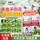 坤寧王花卉綠植通用殺蟲(chóng)劑植物蔬菜蚜蟲(chóng)小黑飛月季花草紅蜘蛛介蚧殼蟲(chóng)