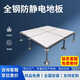 華儲全鋼防靜電地板600x600機房PVC/HPL抗靜電弱電高架空活動(dòng)網(wǎng)絡(luò )地板 30地板單塊-不含配件 600x600mm