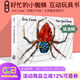 英文原版 Eric Carle The Very Busy Spider 好忙的小蜘蛛 吳敏蘭書(shū)單第77本 常青藤爸爸推薦 廖彩杏書(shū)單 綠山墻
