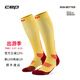 CEP德國2026夏季CORE RUN5.0壓縮運動(dòng)襪專(zhuān)業(yè)馬拉松跑步襪長(cháng)筒襪男女 金盞花/勃艮第紅 女款 II