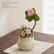 雅韻閣錦繡牡丹多肉小盆栽綠植室內辦公室桌面客廳四季好養花卉肉肉植物 造型錦繡牡丹多肉【刻字小福袋】