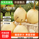 【東東農場(chǎng)專(zhuān)供】河北鴨梨水晶鴨梨新鮮水果酸甜多汁遠達新24 鴨梨帶箱3斤凈重2.5斤單果200g+