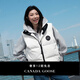 加拿大鵝（Canada Goose）Grandview 女士黑標短款羽絨馬甲輕薄羽絨服外套大鵝馬甲 2267WB 433 北辰白 L