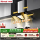 林內（Rinnai）油煙機歐式頂吸家用23m3風(fēng)量大吸力 揮手智控熱清洗 自清潔抽油煙機CXW-283-NM11T
