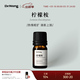 Dr.Wong檸檬桉單方精油香氣清新爽利天然植物精油香薰擴香 5ml