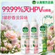 滴露（Dettol）香氛消毒噴霧月下山茶380ml*2+清晨露珠380ml*1鞋子除臭噴霧