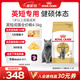 皇家英短成貓糧 BS34 通用糧 12月以上 4.5KG