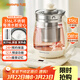 九陽(yáng)（Joyoung）1.5L養生壺 0膠水煮茶器 316L不銹鋼電燒水壺 保溫花茶壺 帶濾網(wǎng) WY303