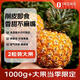 趣嘗鮮海南芒果鳳梨 凈重4.5斤 大果2只裝 單果1000g+ 水果菠蘿源頭直發(fā)