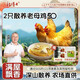 楊博士【老母雞】皖南土雞走地雞煲湯整只生鮮雞肉50周 單只凈重900克 【50型主推】2只老母雞（贈雞血）