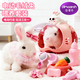 迪漫奇兒童玩具仿真動(dòng)物電動(dòng)寵物小兔子玩偶會(huì )動(dòng)會(huì )叫3-6歲女孩生日禮物