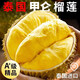 壹萌果蔬泰國榴蓮【順豐多地次日達】泰國新鮮甲侖榴蓮生鮮水果送禮 3-4斤【包3-4房】精選果 50年老樹(shù)果【果農嚴選】
