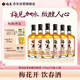 梅見(jiàn)原果青梅酒750ml*6瓶 12度微醺果酒 低度甜酒 聚會(huì )送禮