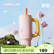 chakolab霸王杯陶瓷涂層內膽吸管保溫大容量學(xué)生高顏值辦公室水杯-暖櫻