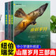 【正版】山居歲月系列全3冊  山居歲月+遠山深處+驚風(fēng)的山 紐伯瑞兒童文學(xué)獎銀獎 中小學(xué)生三四五六年級課外閱讀書(shū)籍 新蕾出版社 【全套3冊】山居歲月系列