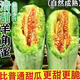 果領(lǐng)隊山東正宗頭茬羊角蜜【當天發(fā)貨】大甜瓜脆甜多汁蜜瓜孕婦時(shí)令水果 5斤【精品果|單果200g+】?jì)糁?.5斤