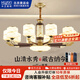 華藝照明新中式吊燈現代中國風(fēng)簡(jiǎn)約臥室吊燈輕奢古銅色玻璃客廳燈 【山清水秀】吊燈-10頭-三色