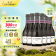 香奈（J.P. CHENET）梅鹿輒紅葡萄酒 187ml*6 整箱裝 熱門(mén)商品