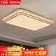 皇利萊客廳吸頂燈現代客廳大燈主燈高級感餐廳燈護眼臥室吸頂燈中山燈具 【長(cháng)方形234W】智能護眼燈120CM