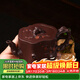 藏壺天下 名家戴爾其宜興全手工紫砂壺黃龍山原礦紫泥古樹(shù)梅樁